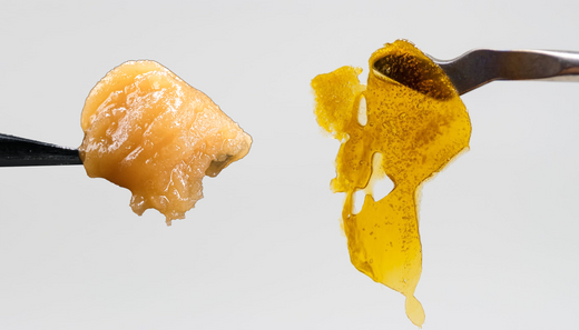 Badder vs. Rosin: Understanding Two Unique Cannabis Concentrates